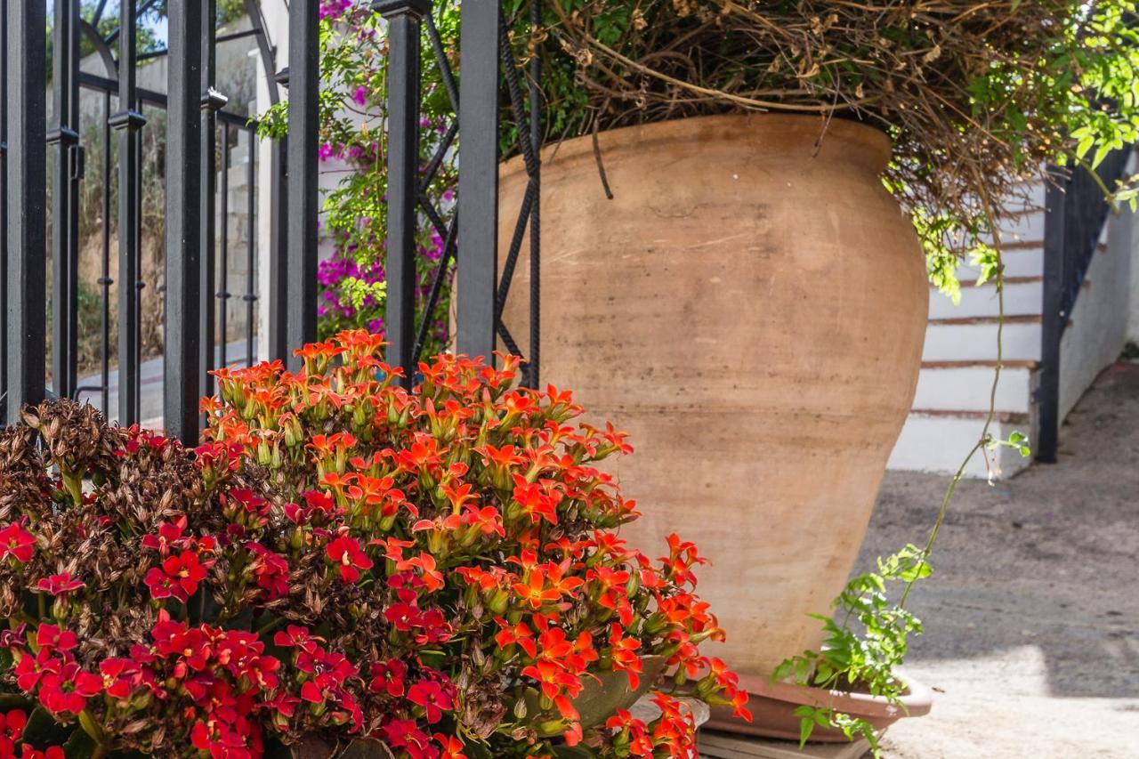 Casa Luna - 16Th Century Traditional Spanish Village House Pinos del Valle エクステリア 写真