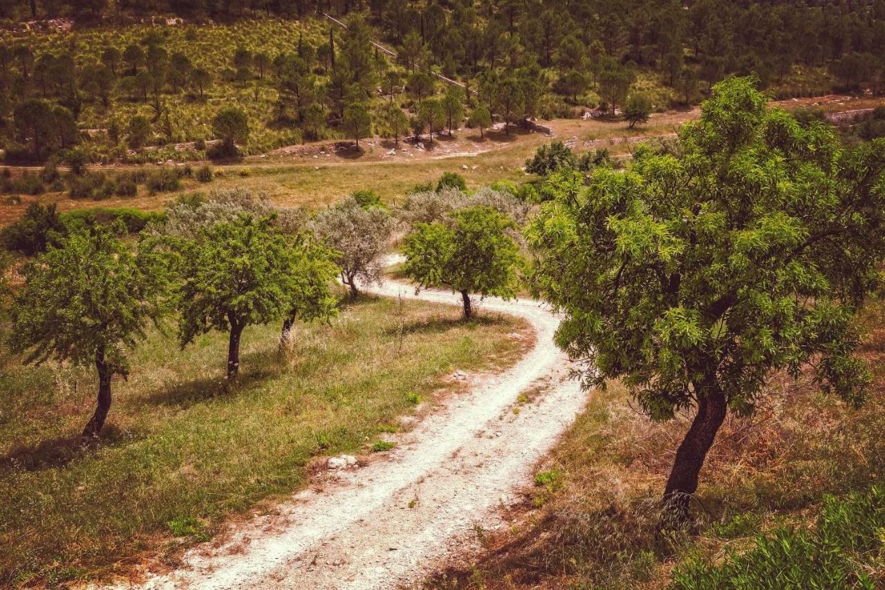 Casa Luna - 16Th Century Traditional Spanish Village House Pinos del Valle エクステリア 写真